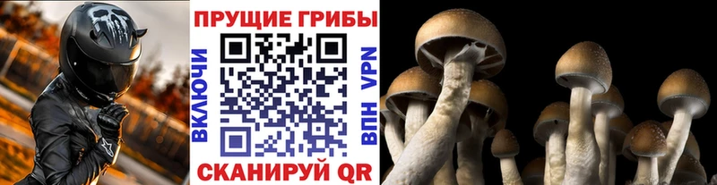 сайты даркнета официальный сайт  Княгинино  Галлюциногенные грибы MAGIC MUSHROOMS 